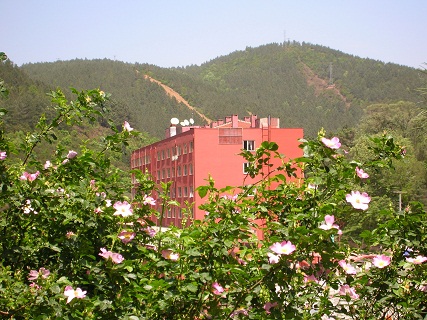 atol turizm