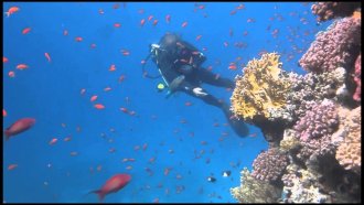 Sharm El Sheikh Turu
